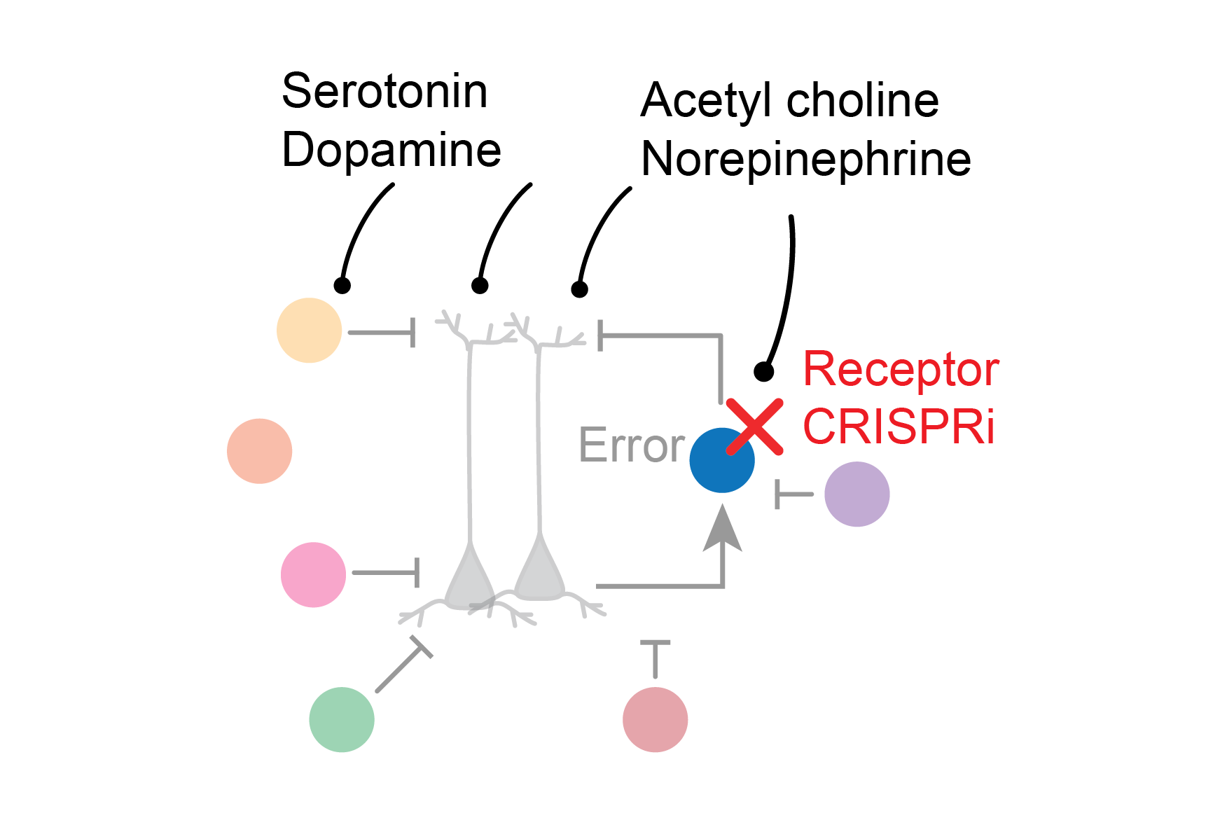 Neuromodulators image